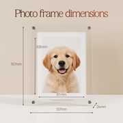 Digital Photo & Video Frame By Alenzo