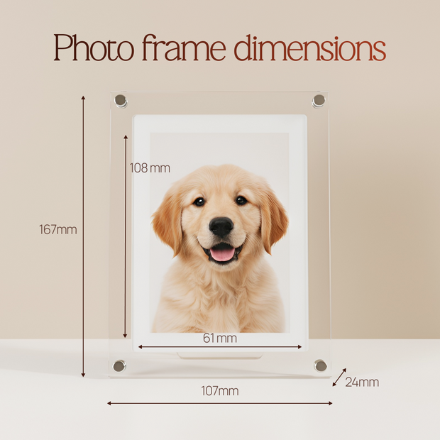 Digital Photo & Video Frame By Alenzo